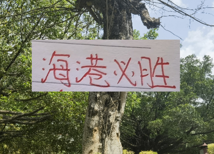 v体育app-前有奇塔 现有奥斯卡 海港旧将也喜欢度假途径母队|上海海港|奇塔迪尼|足协杯|奥斯卡-罗梅罗|足协_新浪体育_新浪新闻